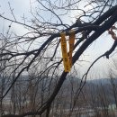 용산-452 이미지