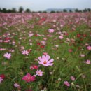 기종농장 이미지