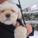 멍플레이 이미지