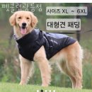 펫클럽광릉점 | 진접읍 장현리 애견용품 펫클럽광릉점 위치.가격.시간.후기