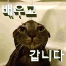 묵우운간 후기(5/5~5/16)