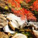 도장골2 이미지