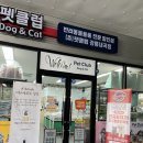펫클럽강릉내곡점