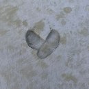 밀포드모텔 이미지