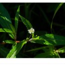 내송마을회관 이미지