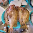 해풍상회 이미지