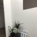 스튜디오1251 이미지