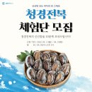 진도청경