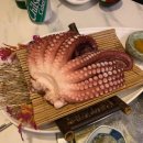 둔산야채막회 이미지