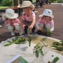 뉴한가람어린이집 이미지