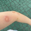 노니살롱 | 6/16(월)~6/22(일)::COS 젤리슈즈/ 샐리맥스 노니앰플 후기/ 슈퍼커브 110/ 멕시코 몬테레이 불륜/ 귀...