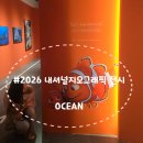 은천동-33서울특별 | 디즈니와 만난 '2026 내셔널지오그래픽 특별 서울 전시: Ocean' 관람 솔직 후기(ft.굿즈)