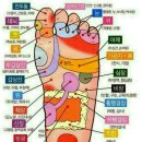 건강 발마사지 이미지