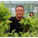 장수유기질 이미지