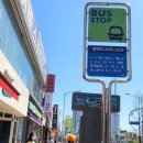 모산 근린 광장 이미지