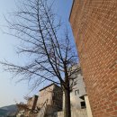 고려주유소 이미지