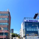 남해푸른수산 | [울산] 6월 가볼만한 곳, 장생포 수국축제 미리 다녀온 후기