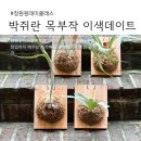 행잉플랜트 공기정화식물체험 | 용호동 가로수길 보타미 가드닝 식물 분갈이 창원원데이클래스 후기