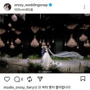 오로지스튜디오 | [내돈내산] 대전 본식 스냅업체 총 정리: 스타일별 업체 정리