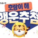 행운홈쇼핑 이미지