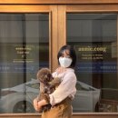 연계콩마을 이미지