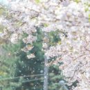 씨유서구중앙점 이미지