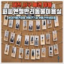퍼피엔젤 반려동물 미용실 | 대전 서구 퍼피엔젤 반려동물 미용실, 4살 말티즈 미용 후기