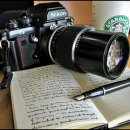 도치커피 이미지