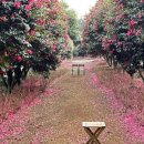 그리고세화해변점게스트하우스제주구좌오션뷰감성숙소 이미지