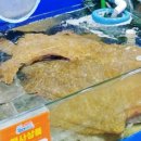 대운상회 이미지