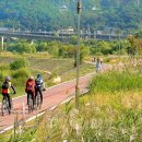 샘재로 4 이미지