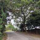 동산 새마을작은도서관 이미지