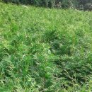 토산농장 이미지