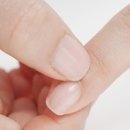 손톱 Daum카페