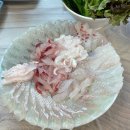 달빛맥주마산내서점 | 창원 마산 내서 맛집 한산도횟집 현지인 맛집으로 인정