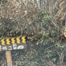 무릉리 그집 | 제주도민이 알려주는 서귀포 갓성비 숙소, 무릉리 그 집 103호 투숙 후기