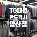 반도턱시 이미지