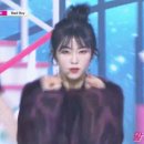 어제자 쇼 챔피언 레드벨벳 아이린.gif(데이터주의) 이미지