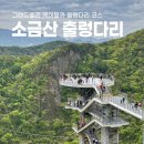 천사카랜드 | 원주 소금산 출렁다리 코스 정리, 그랜드밸리 입장료 및 소요시간
