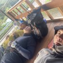 회신마을회관 이미지