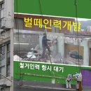 벌떼인력개발 이미지