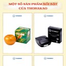 토라프로모션