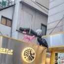 CAT&F 캣앤에프