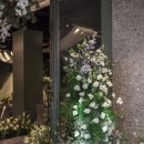 아바니센트럴 부산 이미지