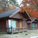 박달재휴양림 이미지