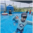 S태권도장 네이버블로그