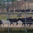 이티농장 이미지