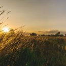 손해평가사 2차 이미지