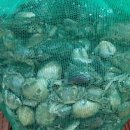 조은펜션 이미지