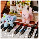 새싹미술학원 | 집콕 미술놀이 '반려 모루 인형 DIY' 초등 만들기장난감 취미키트